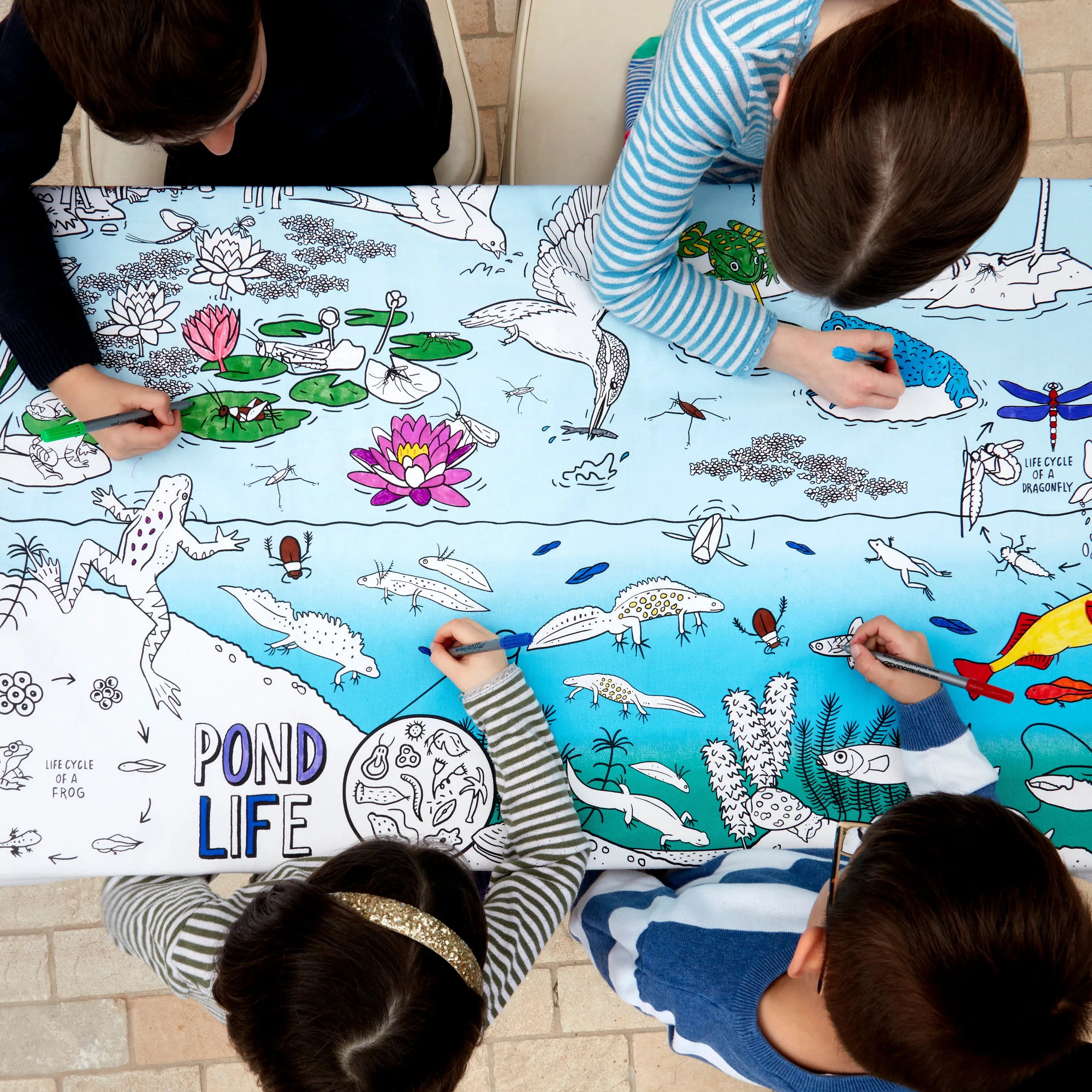 nature & wildlife pond adventure tablecloth